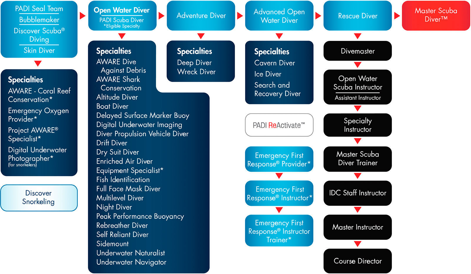 PADI Course Chart · Our PADI courses